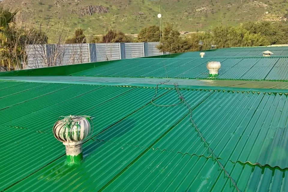 Remodelación Techumbre